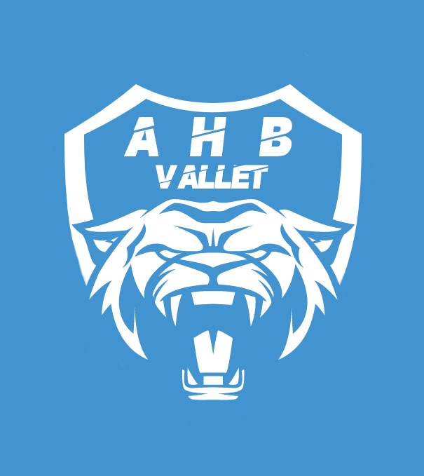 Logo Association Handball Vallet